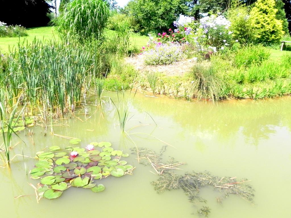 Les Charmilles Bed & Breakfast Hazebrouck Eksteriør bilde
