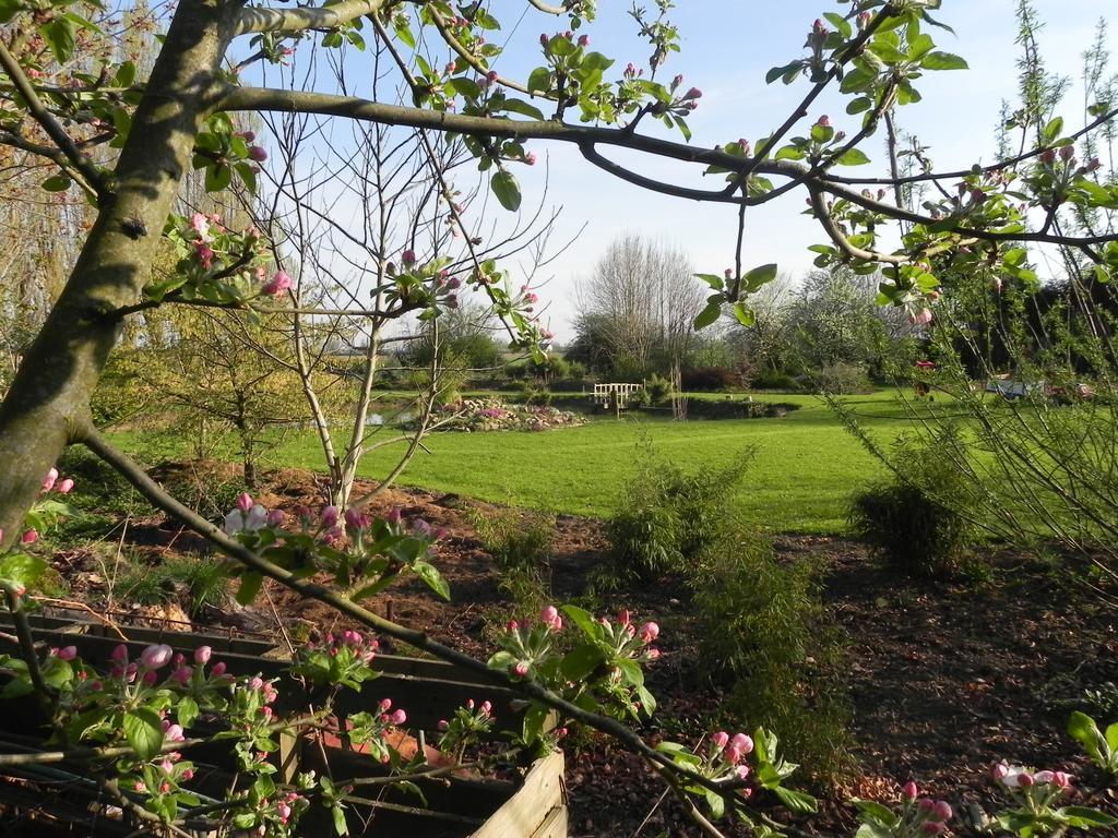 Les Charmilles Bed & Breakfast Hazebrouck Eksteriør bilde